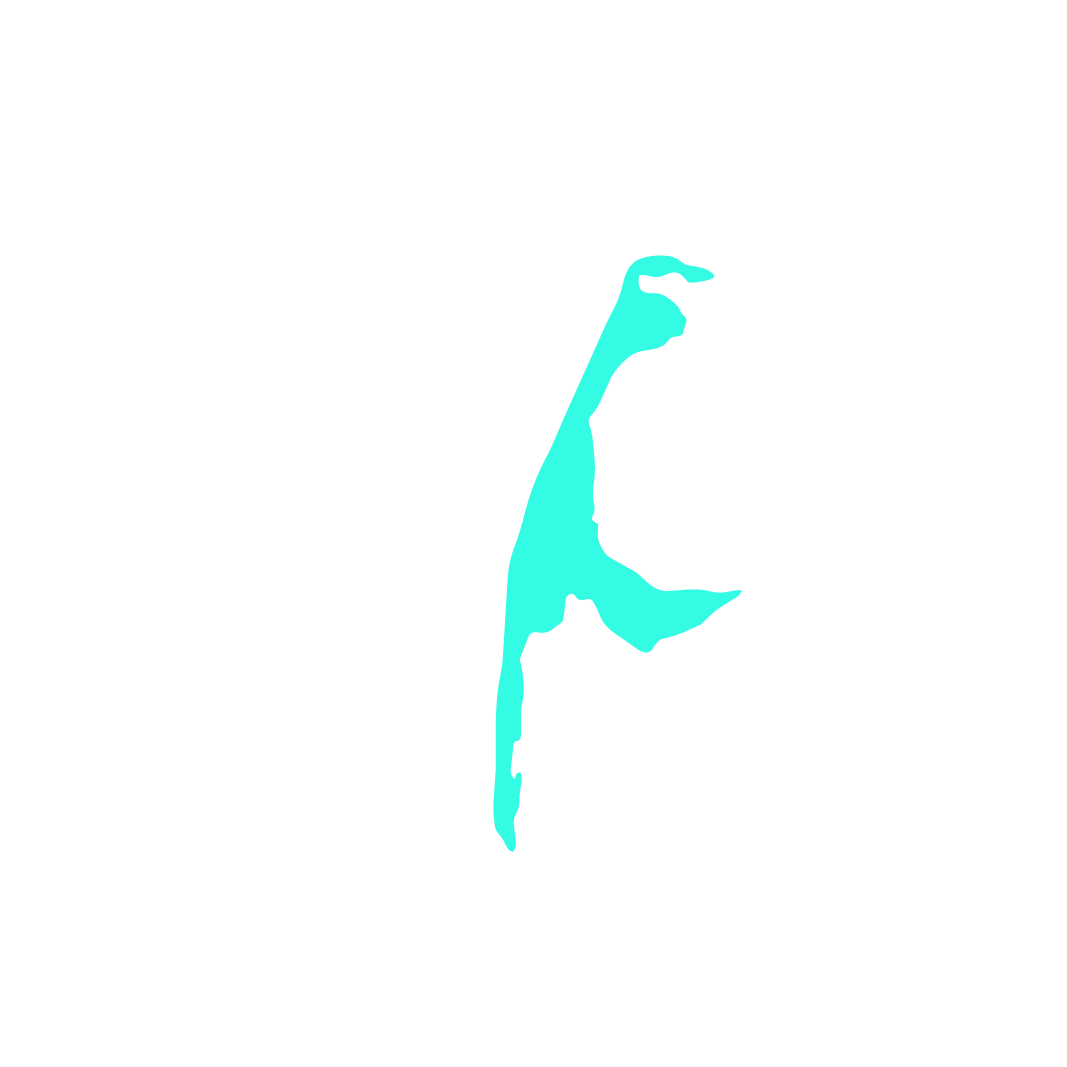 Autozug Radio Sylt Logo